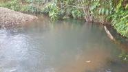 Chácara 2.800m2 boa de água Cercada e Plana APENAS R$ 60 mil